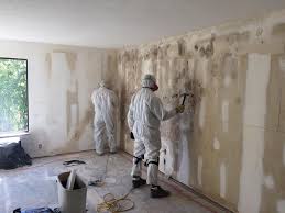 Best Comprehensive Air Testing for Mold Contaminants  in Mikes, TX